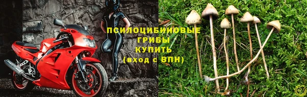 ПСИЛОЦИБИНОВЫЕ ГРИБЫ Богородск