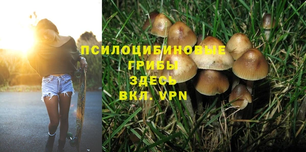Альфа ПВП Богородицк