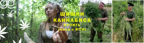 Альфа ПВП Богородицк
